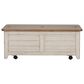 Belle Furnishings Farmhouse Reimagined Storage Trunk in White, , large