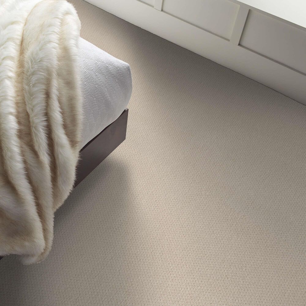 Shaw Austin Park Carpet in Alabaster, , large
