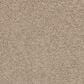 Mohawk Revive Carpet in Birdbath, , large