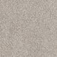 Dream Weaver Affinity II Carpet in Elkhound, , large
