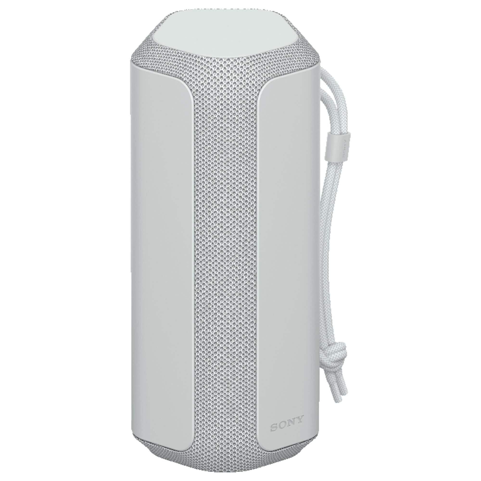 Sony hotsell large speaker