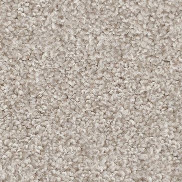 Shaw Harmonious III Carpet in Split Sediment, , large