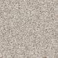 Shaw Harmonious III Carpet in Split Sediment, , large
