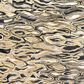 Emser Zabia Leopard 24" x 47" Glossy Porcelain Tile, , large