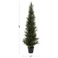 Timberlake 5" Artificial Cedar Topiary Tree with Pot in Green, , large