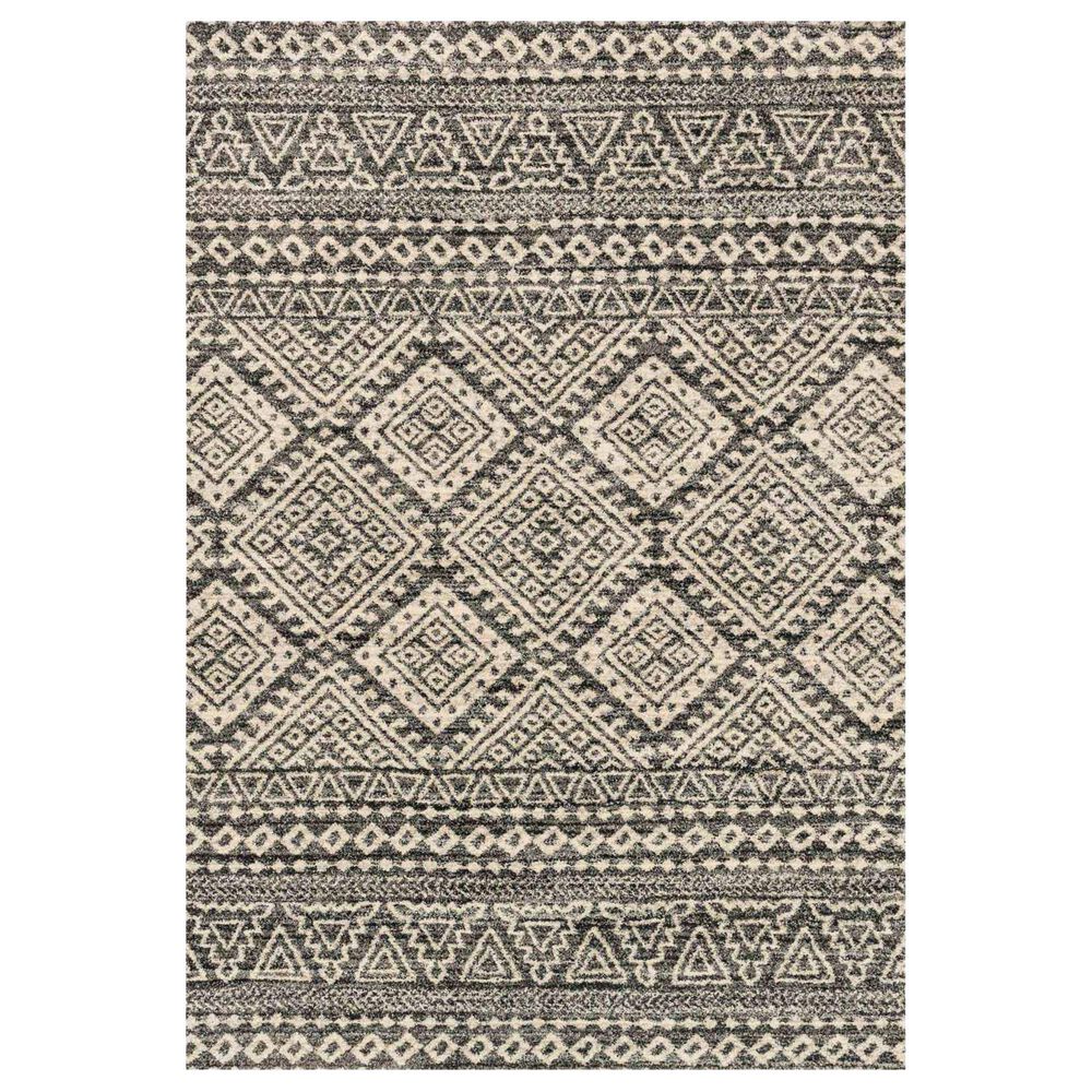 Loloi Emory 9"2" x 12"7" Graphite and Ivory Area Rug, , large