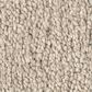 Shaw Posh Life Carpet in Natural, , large