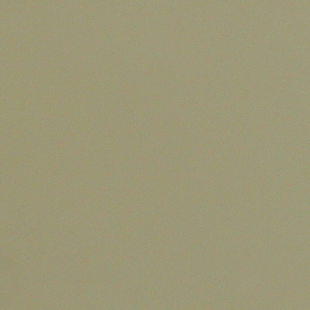 Moe's Home Collection Hannah 2-Door Cabinet in Green, , large