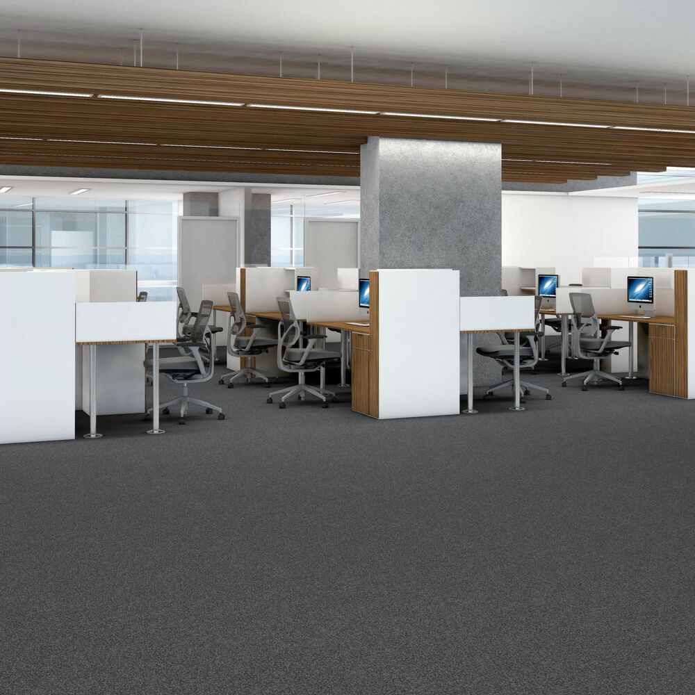 Shaw Yes You Can III Carpet in Refined, , large