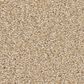 Anderson Tuftex Cypress Falls Carpet in Golden, , large