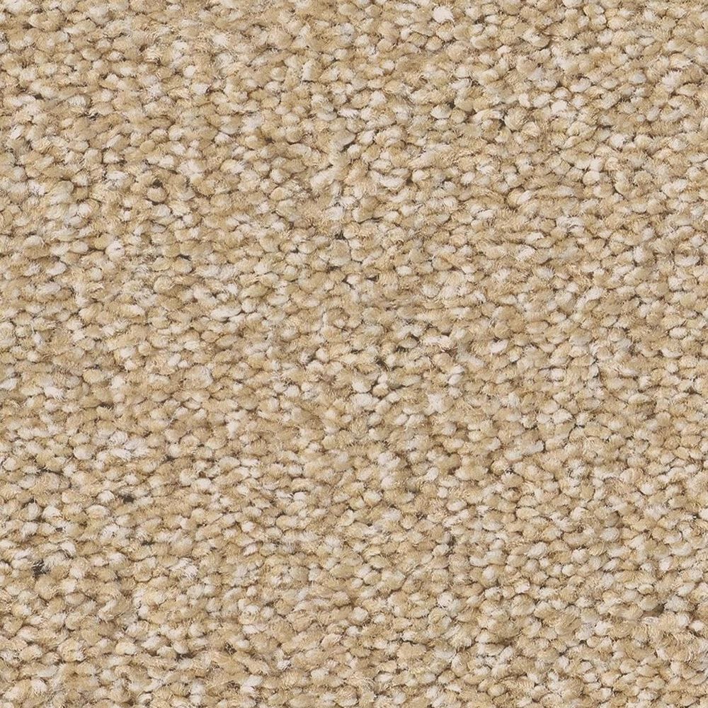 Anderson Tuftex Cypress Falls Carpet in Golden, , large