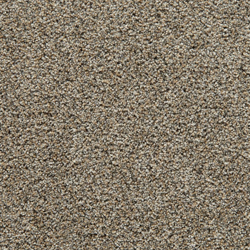 Mohawk Cozy Companion III Carpet in Homestead, , large