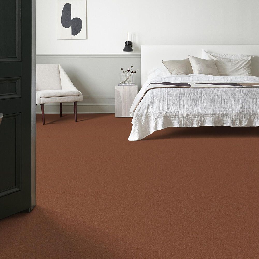 Anderson Tuftex Elegant Beauty Carpet in Clay, , large