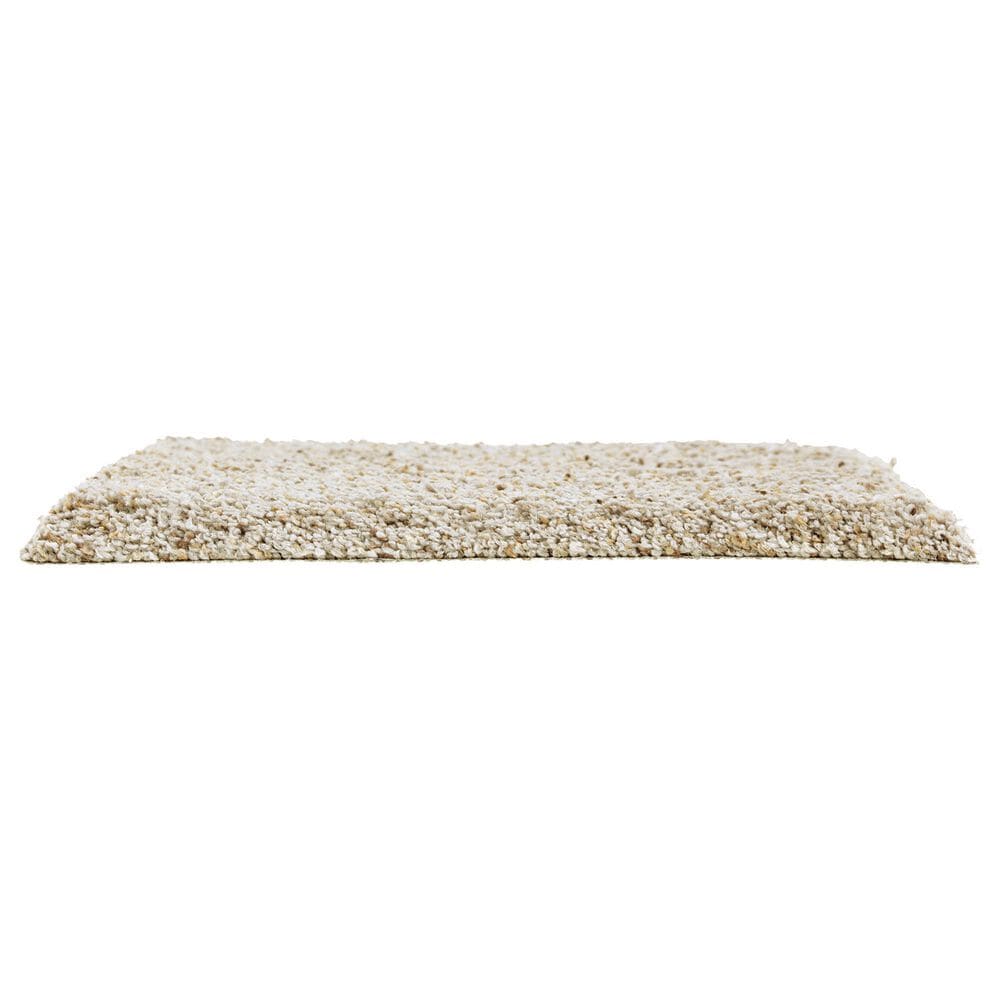Mohawk Exquisite Appeal Carpet in Stepping Stones, , large