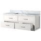 Lexora Home Castor 48" Single Bathroom Vanity in White with 2 cm White Carrara Marble Top and Rectangular Sink, , large