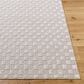 Surya Alder ALD-2321 1"11" x 3"9" Taupe and Tan Area Rug, , large