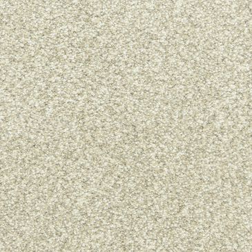 Dixie Home Simplicity Carpet in Days End, , large