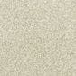 Dixie Home Simplicity Carpet in Days End, , large