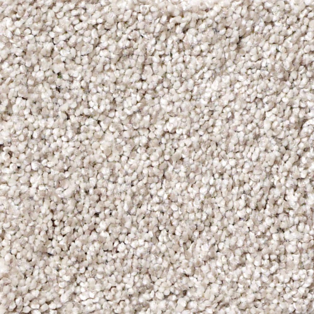 Shaw Foundations Take The Floor Tonal II Carpet in Statuary, , large