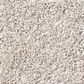 Shaw Foundations Take The Floor Tonal II Carpet in Statuary, , large