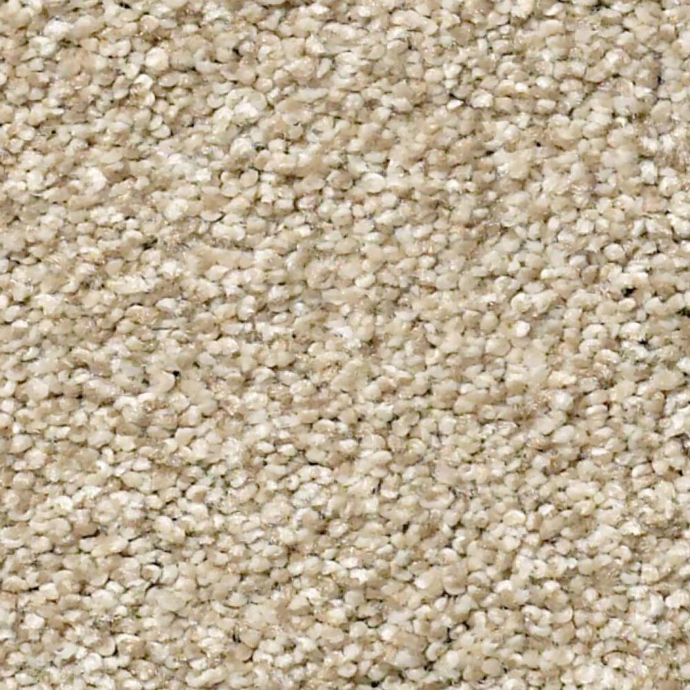 Shaw Tonal Comfort Ii Carpet in Dinner With Friends, , large