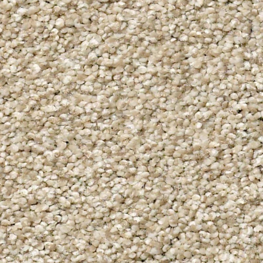 Shaw Tonal Comfort Ii Carpet in Dinner With Friends, , large