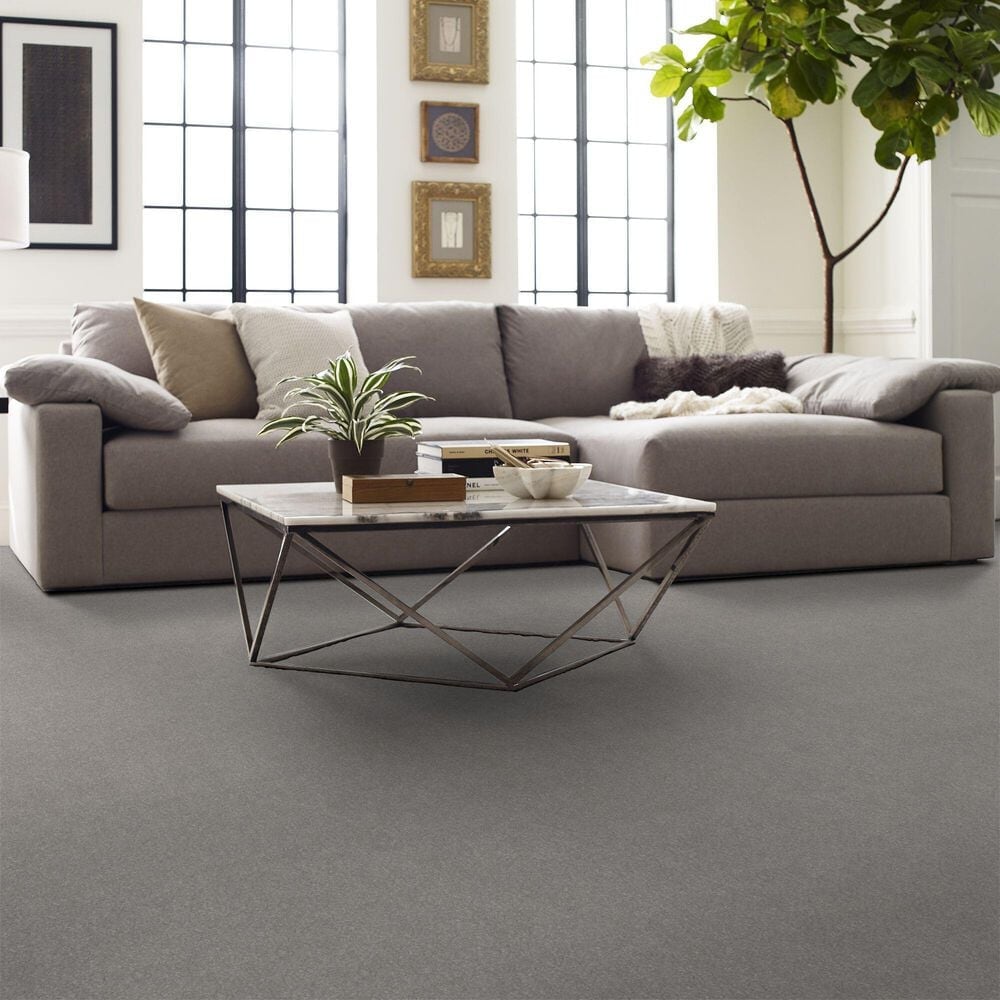 Shaw Hard At Play Iii Carpet in Rock Crystal, , large