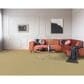 Dixie Home Simplicity Carpet in Cameo, , large