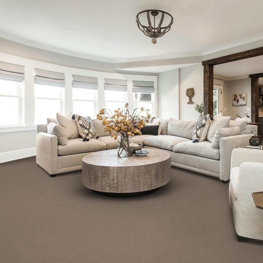 Karastan Starlight Plaza Carpet in Verona, , large