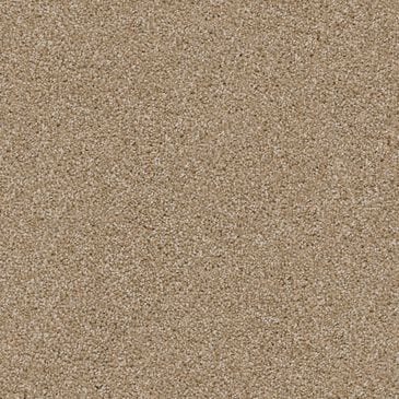 Dixie Home Guard Carpet in Corgi, , large