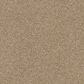 Dixie Home Guard Carpet in Corgi, , large