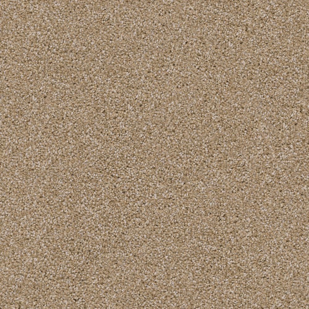 Dixie Home Guard Carpet in Corgi, , large