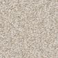 Shaw Del Rio I Carpet in Gallery Opening, , large