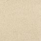 Masland Miami Carpet in Dunes, , large