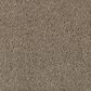 Mohawk Olympus III Carpet in Windsome, , large