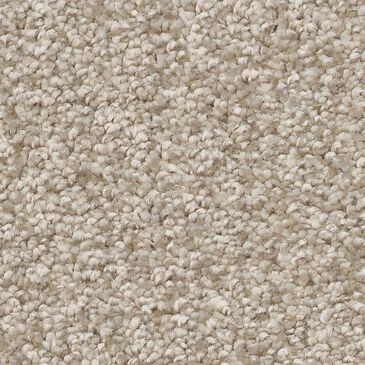 Shaw You Got This III Carpet in Natural, , large