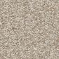 Shaw You Got This III Carpet in Natural, , large