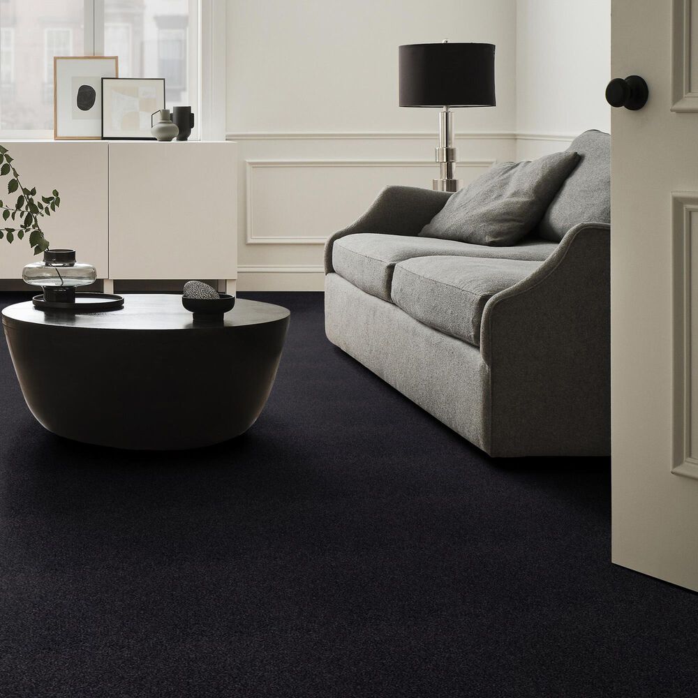 Shaw Tonal Comfort Ii Carpet in Movie Night, , large