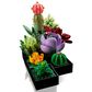 LEGO Botanicals Collection Succulents, , large