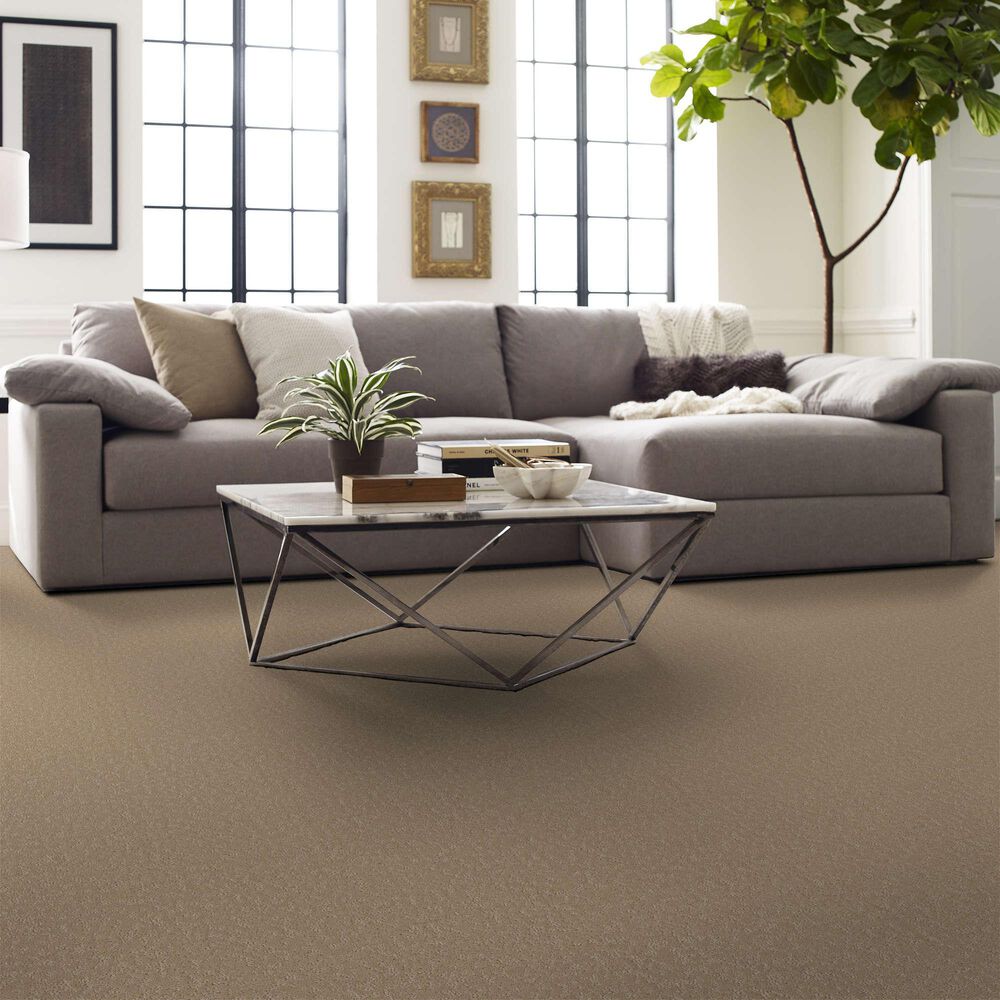 Shaw Clever Choice Carpet in Worn Path, , large