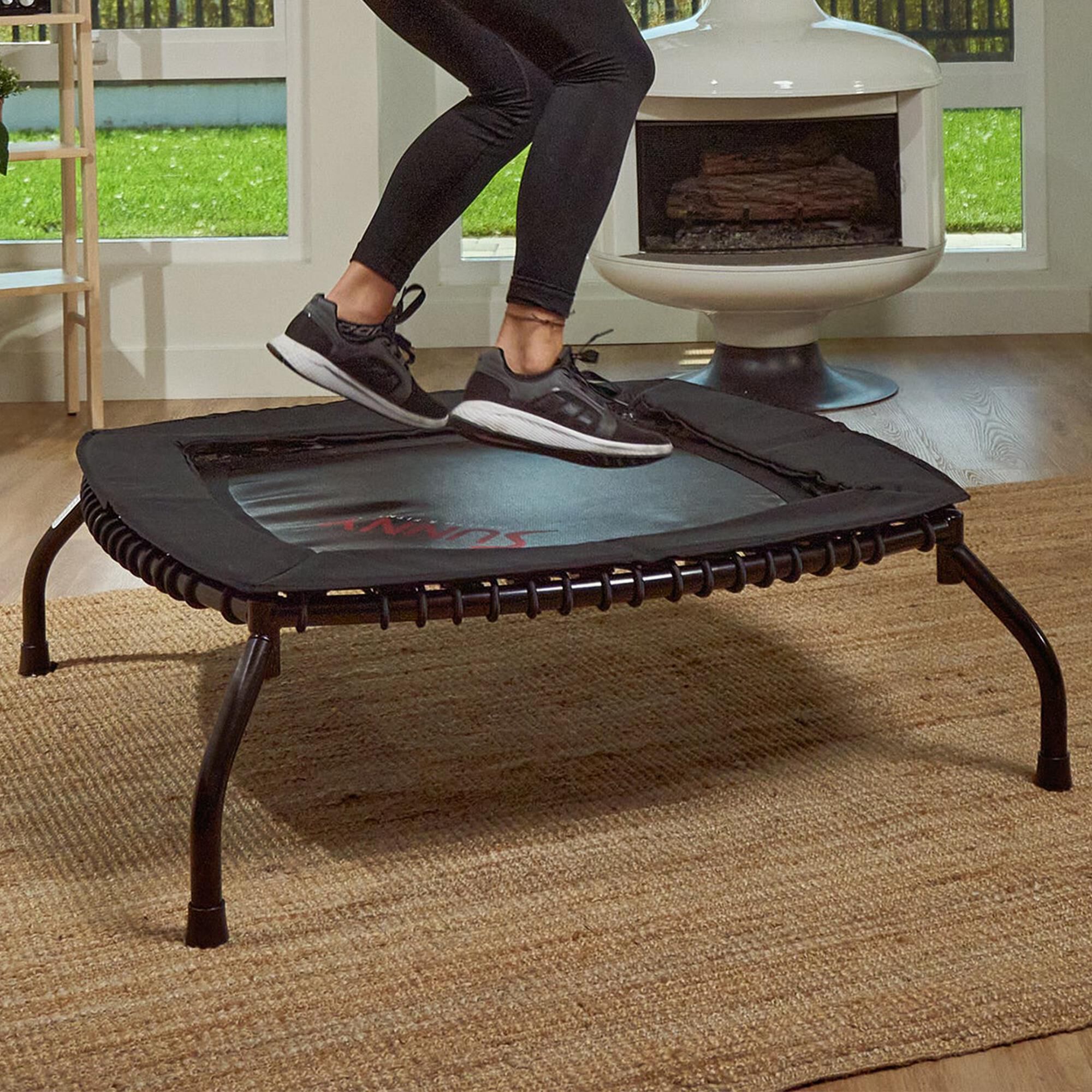 Sunny Health & Fitness 36