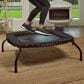 Sunny Health & Fitness 36" Premium Indoor and Outdoor Exercise Trampoline in Black, , large