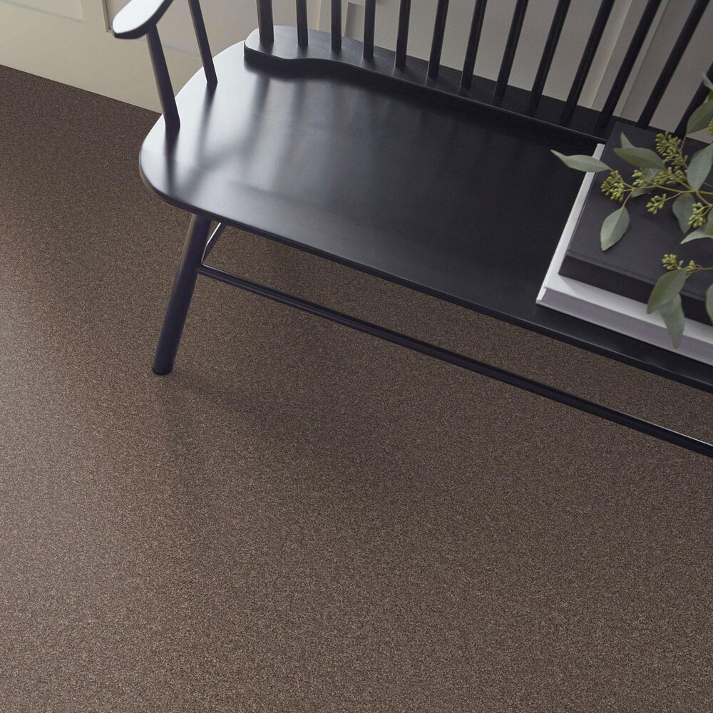 Shaw Agility Carpet in Roasted Coffee, , large