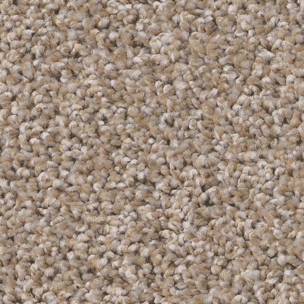 Shaw Bold Move Plus Carpet in Camel, , large
