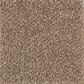 Mohawk Nature"s Elegance Carpet in Carpet in Woodland, , large