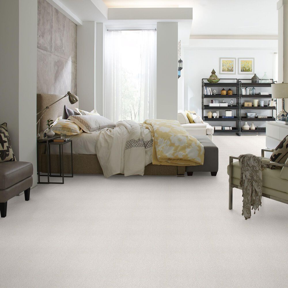 Shaw Find Your Comfort TT I Carpet in Coming Home, , large