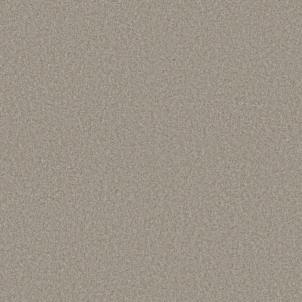 Shaw Comforting I Carpet in Rustic, , large