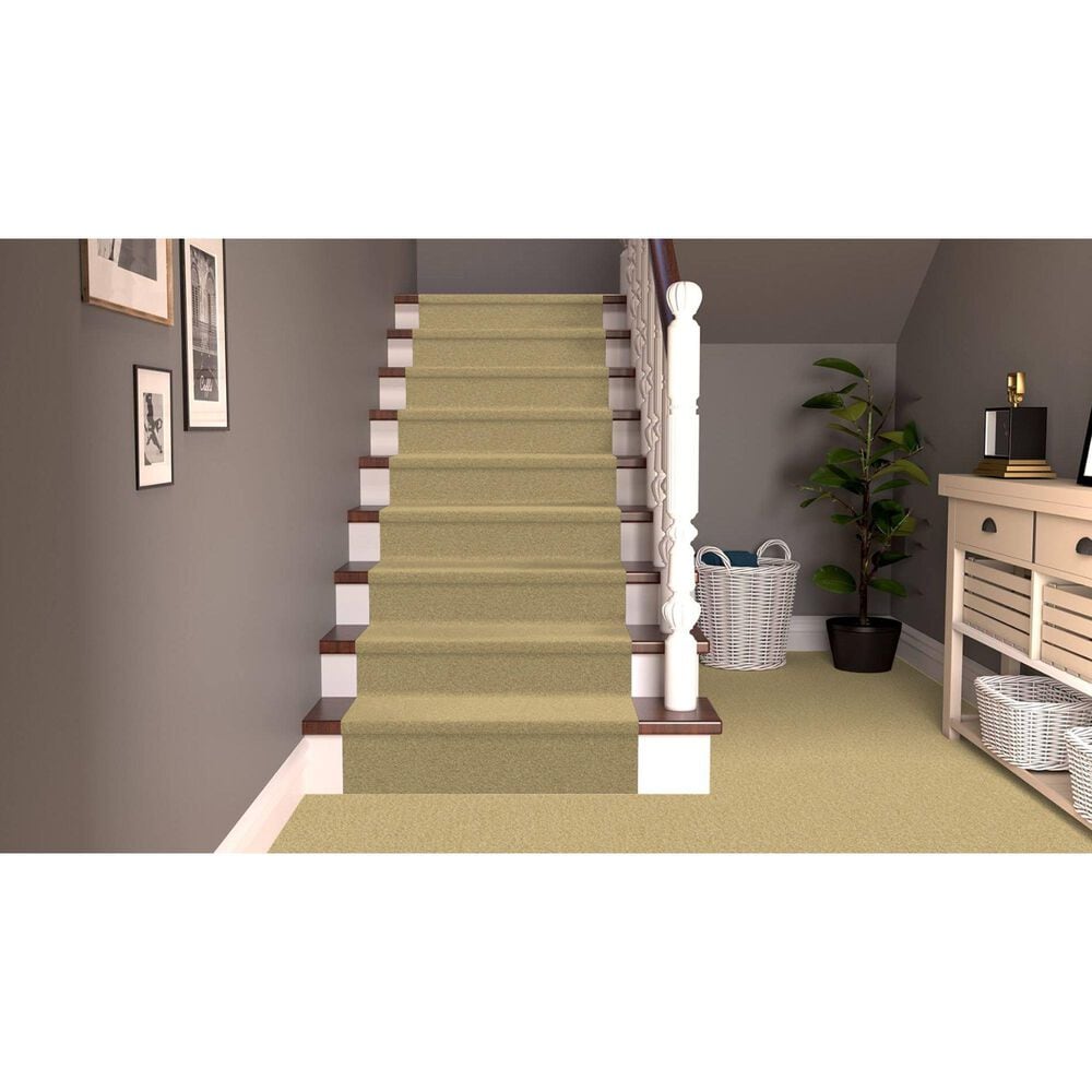 Dixie Home Simplicity Carpet in Taffy, , large