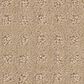 Shaw West Coast Carpet in Magic, , large