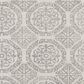 Amer Rugs Boston 5" x 7"6" White and Ivory Area Rug, , large